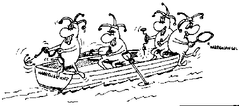 Narrenschiff